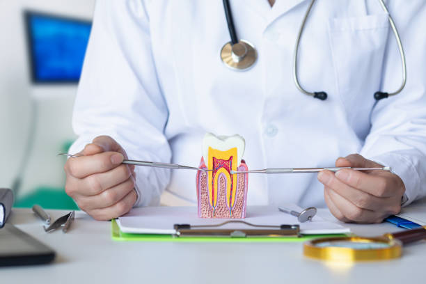 Best Emergency Root Canal Treatment in Eastlake, OH